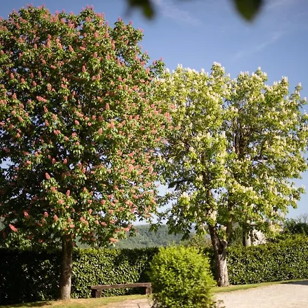 Agriturismo Fattoria Le Case, Tuscany